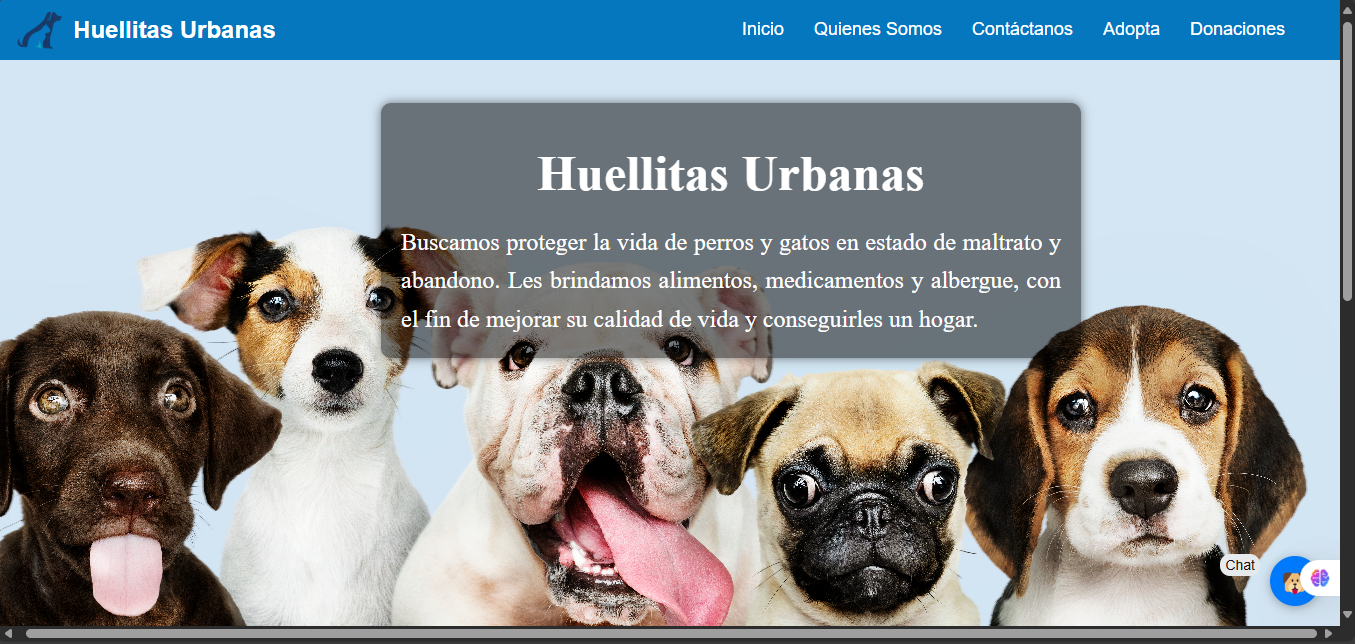pagina web de refugio
